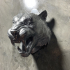 Tiger Head print image
