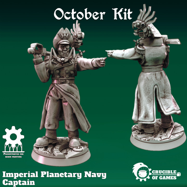 Imperial Planetary Navy Captain image