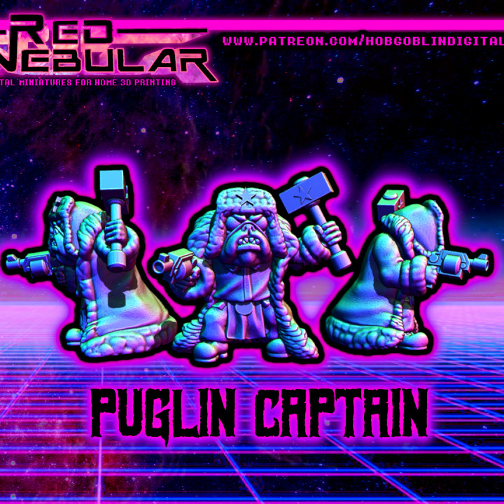 Puglin Captain image