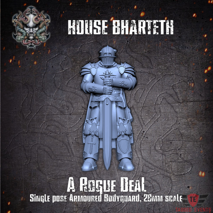 House Bharteth - Armoured Bodyguard image