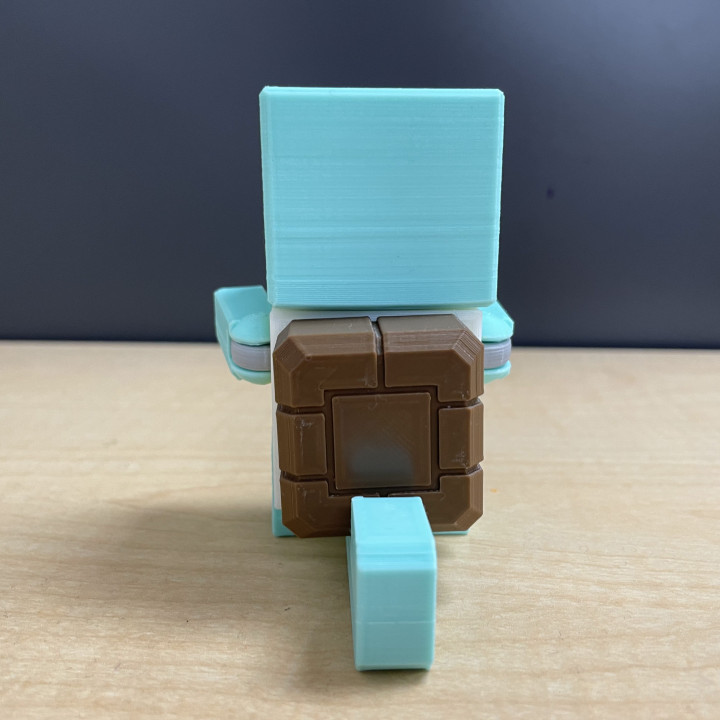Pokemon Quest Articulated Squirtle Toy image