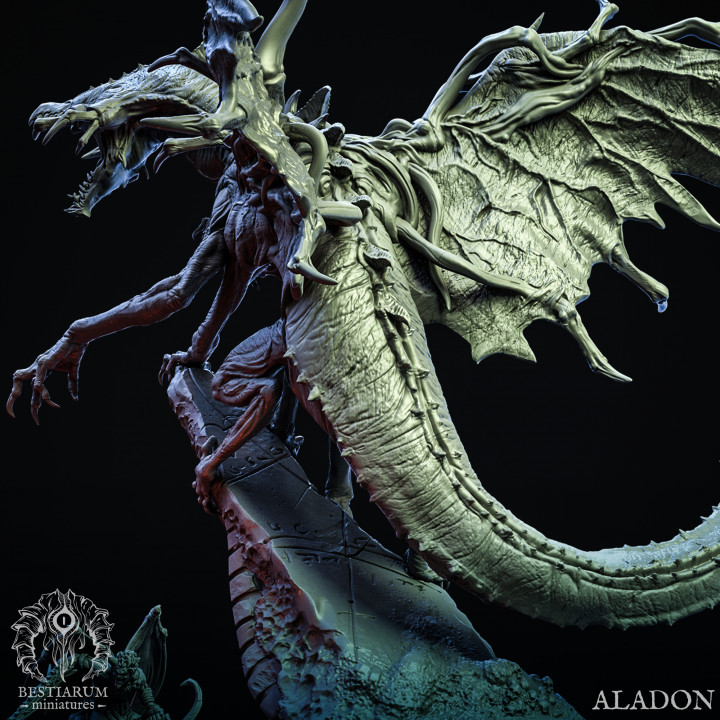 The Aladon image