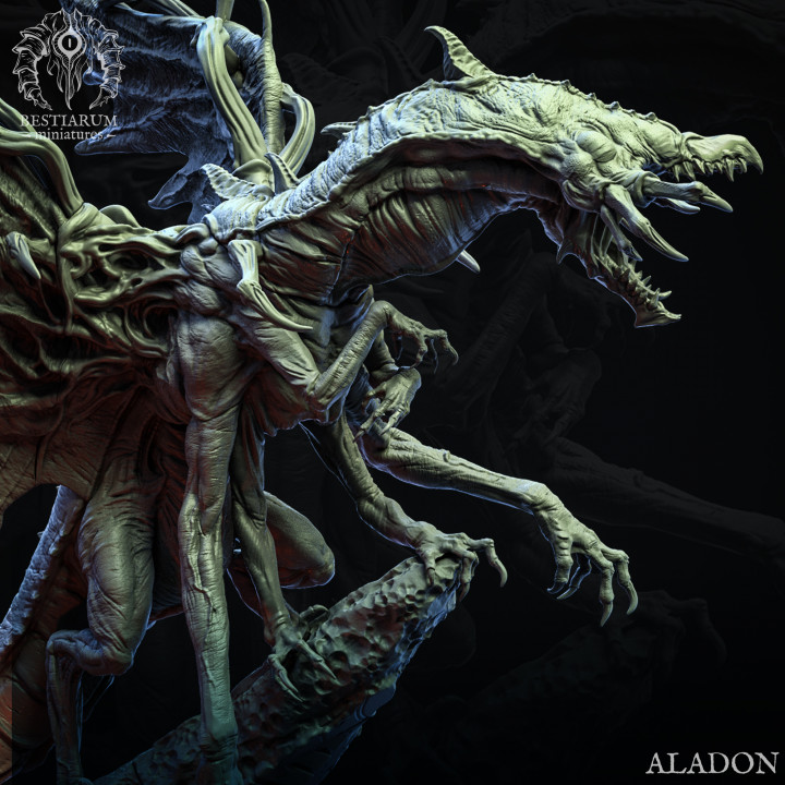 The Aladon image
