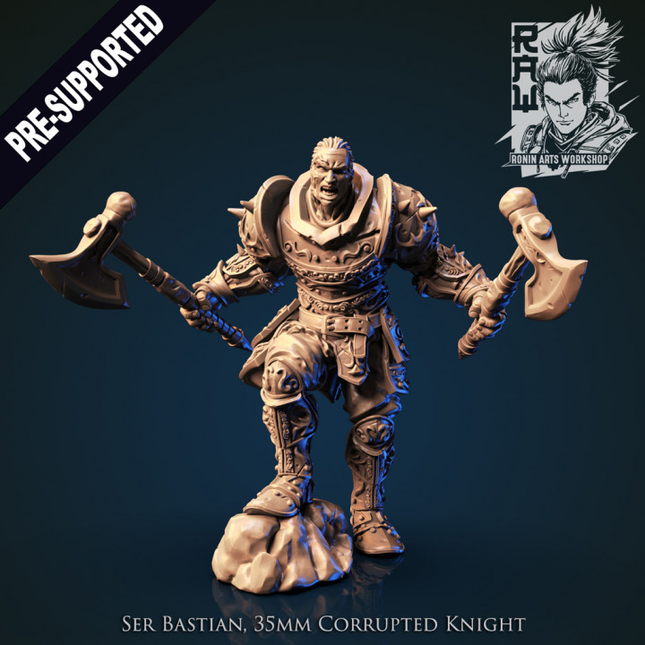 Ser Bastian - Corrupted Knight image