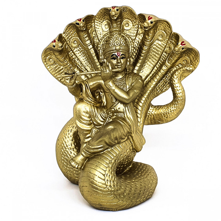 Krishna Tames Serpent Kaliya image