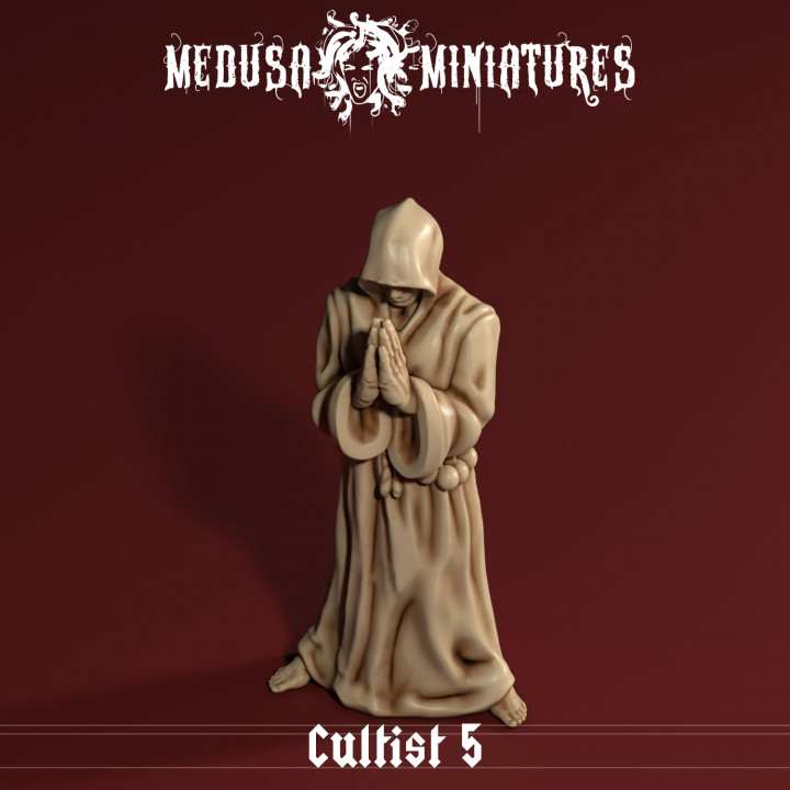 Cult of the Cobra - Cultist 5 - Hooded Cultist Praying image