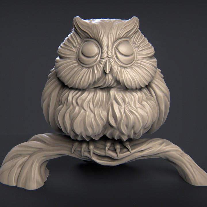 Bubu the Owl image