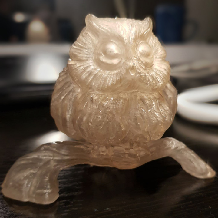 Bubu the Owl image