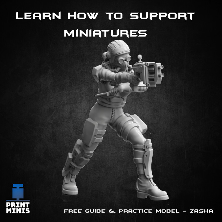 FREE Supporting Guide and Practice Model! image