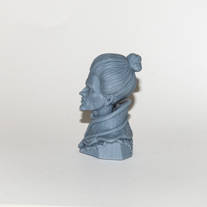 Old Lady Bust image