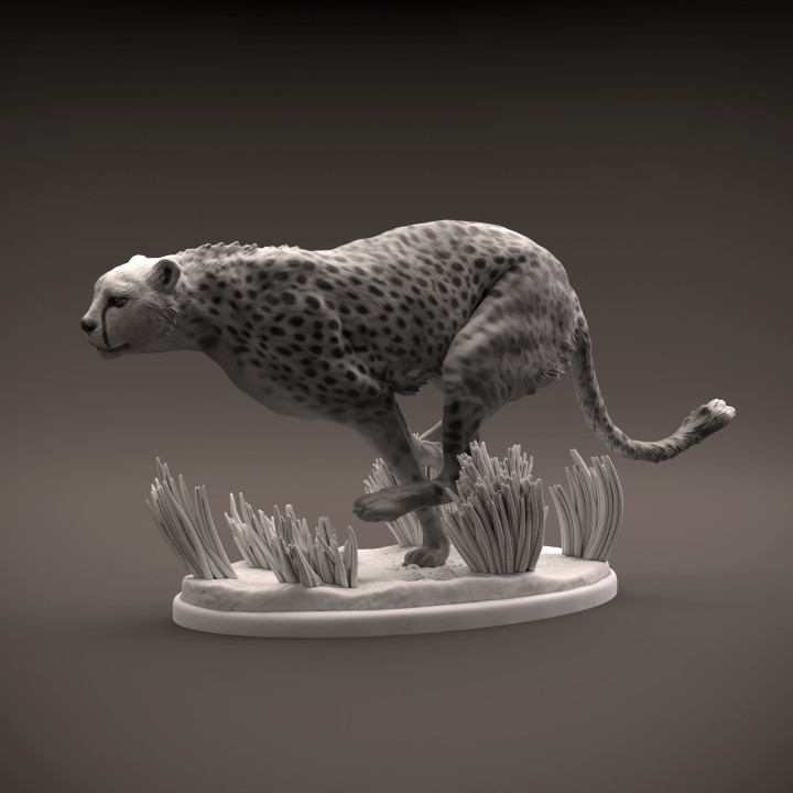 Cheetah running image