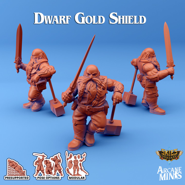Dwarf Gold Shield image