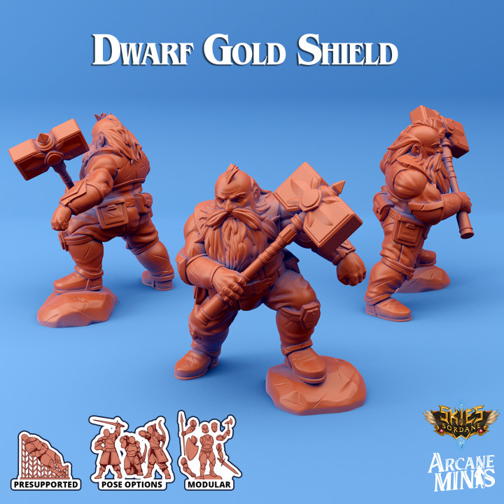 Dwarf Gold Shield image