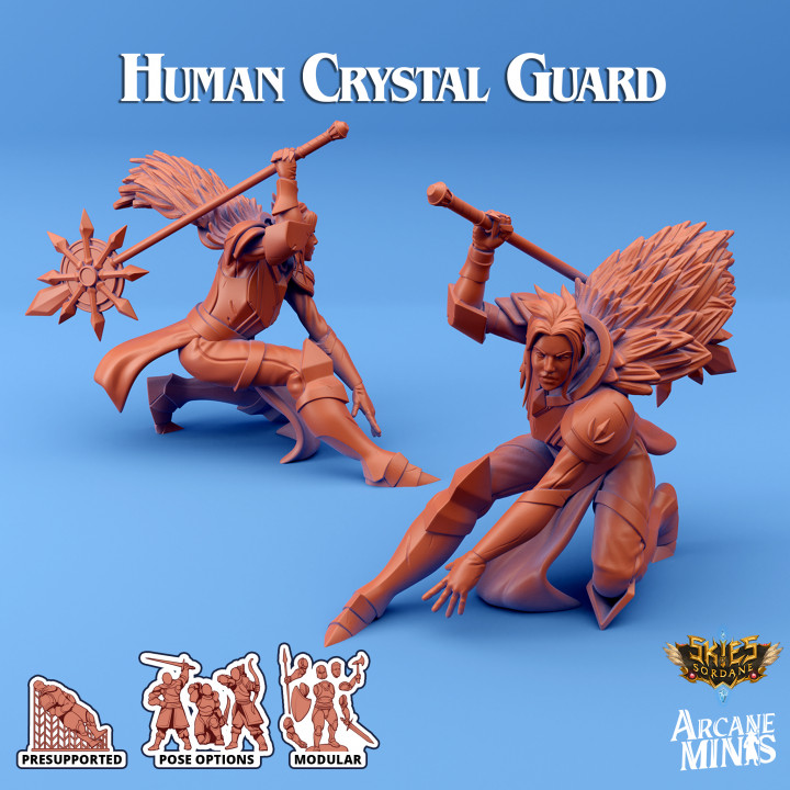 Human Crystal Guard image