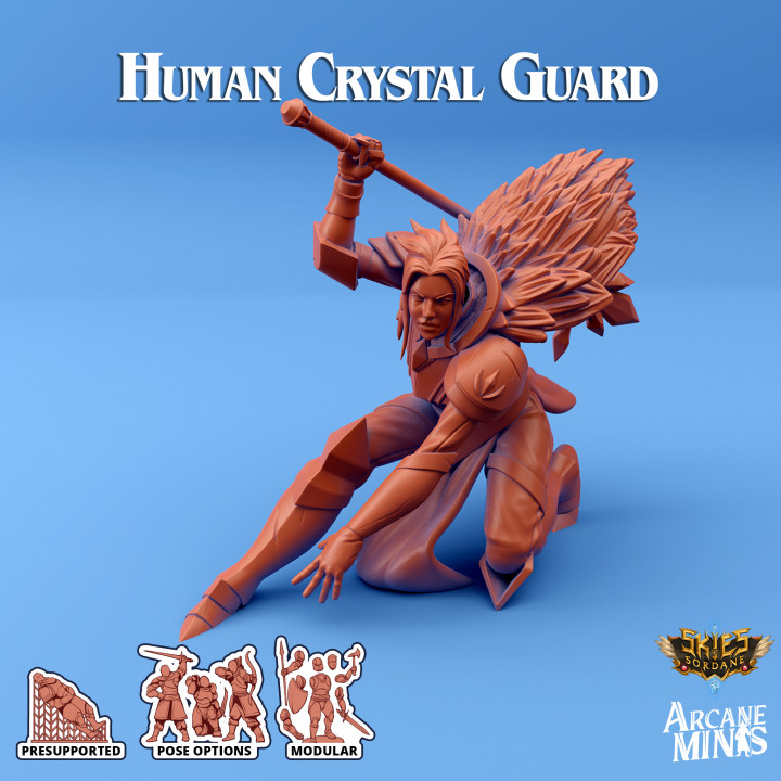 Human Crystal Guard image