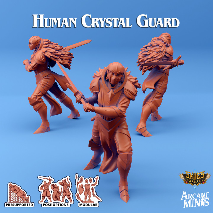 Human Crystal Guard image