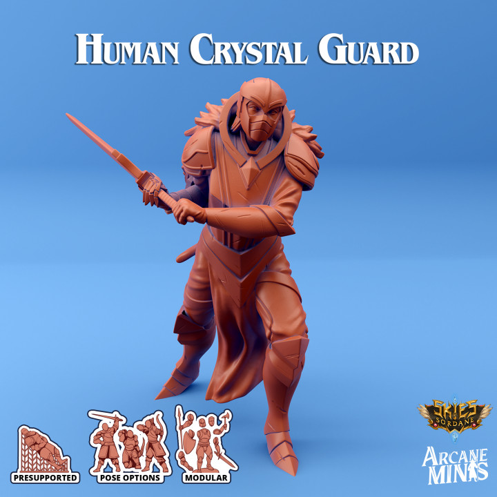 Human Crystal Guard image