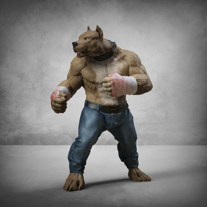 bare knukle fighter- American Bully (classic) image