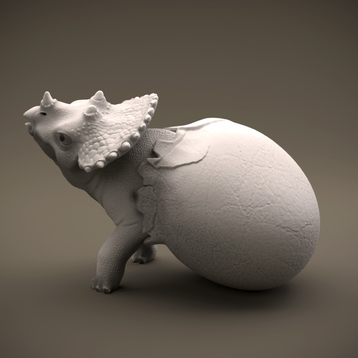 Triceratops hatchling - baby dino image