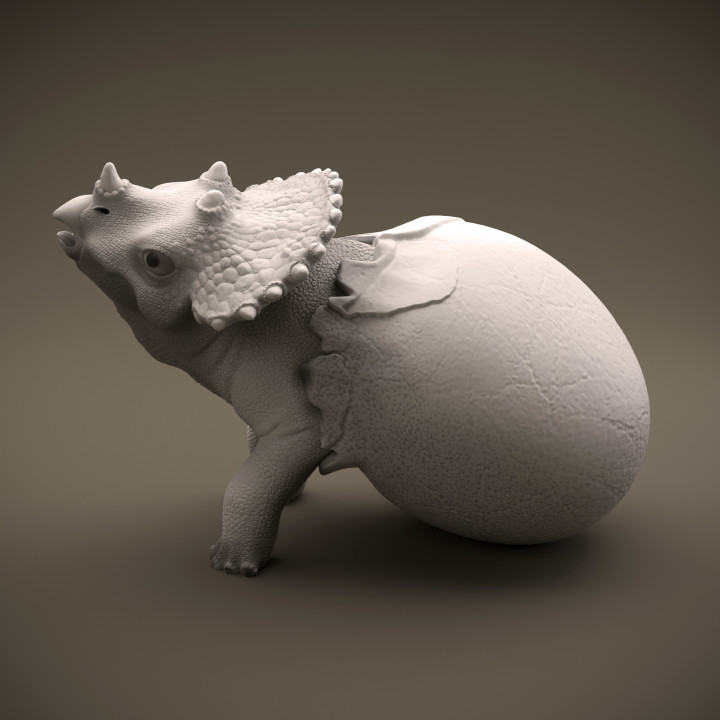Triceratops hatchling - baby dino image