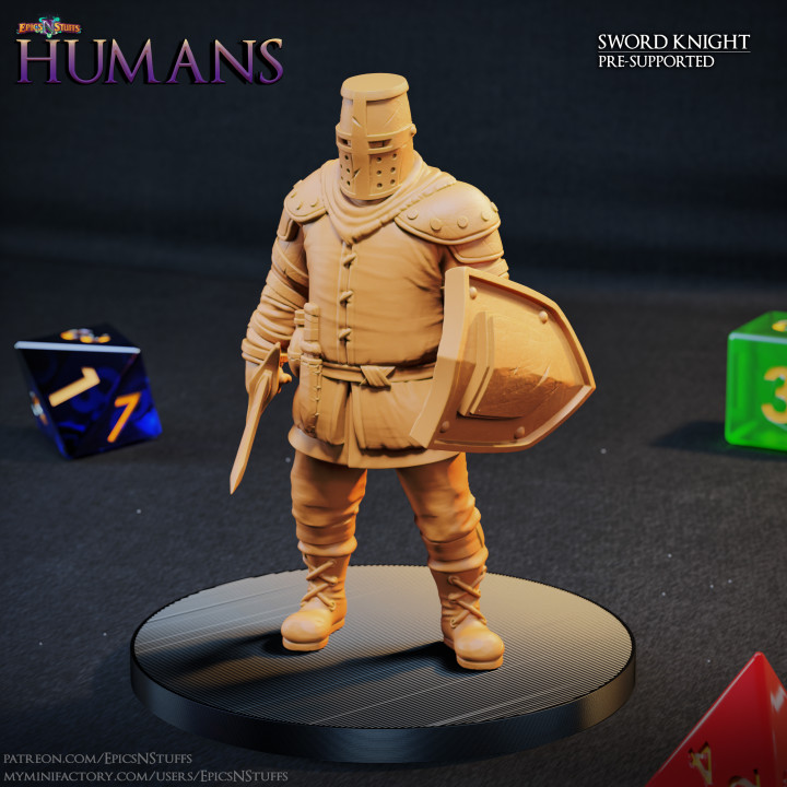 Human Sword Knight 1B Miniature - Pre-Supported image