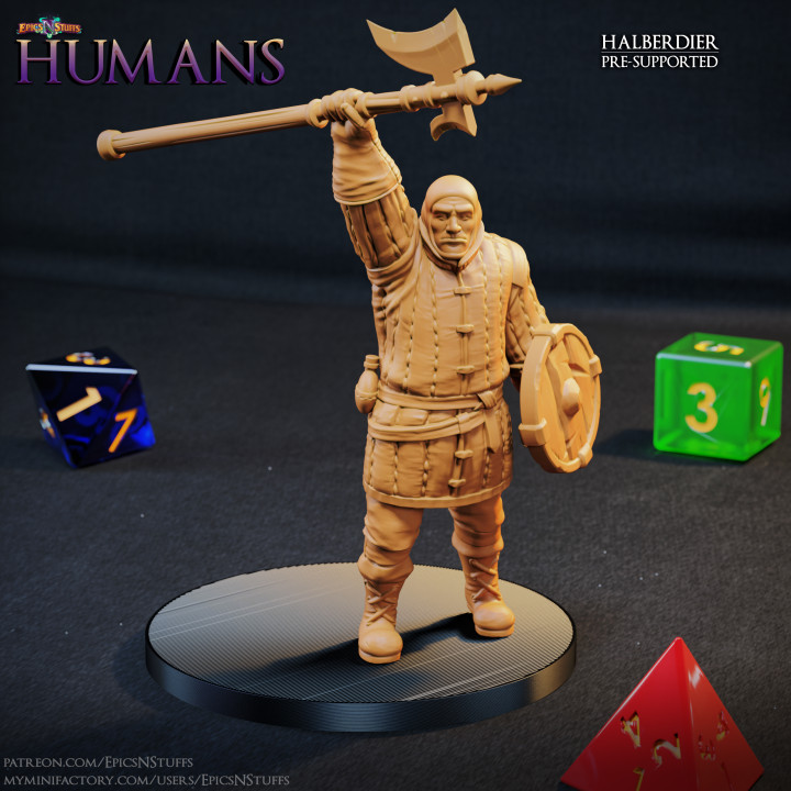 Human Halberdier 1E Miniature - Pre-Supported image