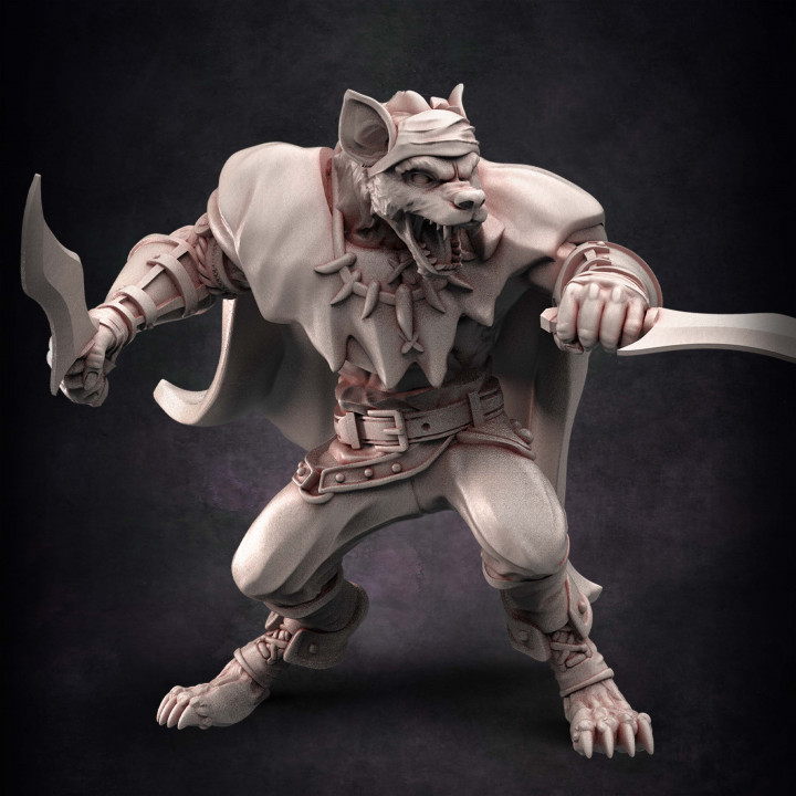 Pirate Gnoll Scoundrel image
