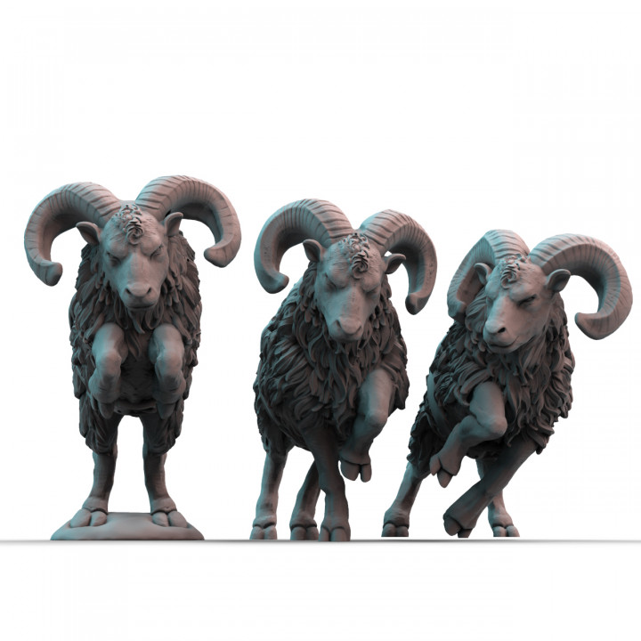 Rams (pre-supported) image