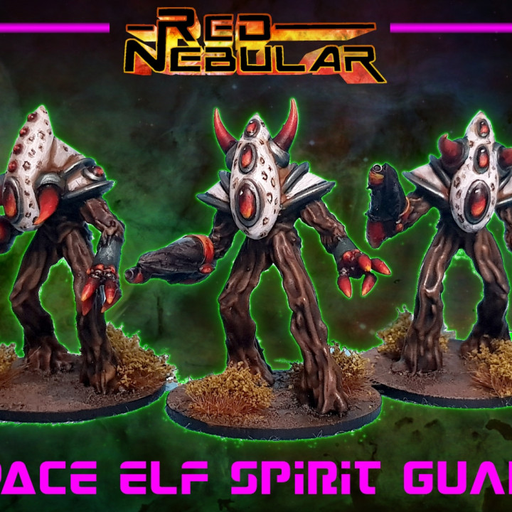 Space Elf Spirit Guard image