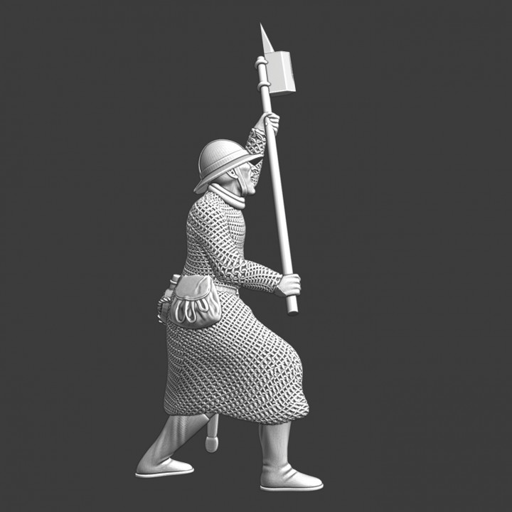 Swedish crusader with pole weapon image