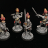 Sunland Knights on Foot- Highlands Miniatures print image