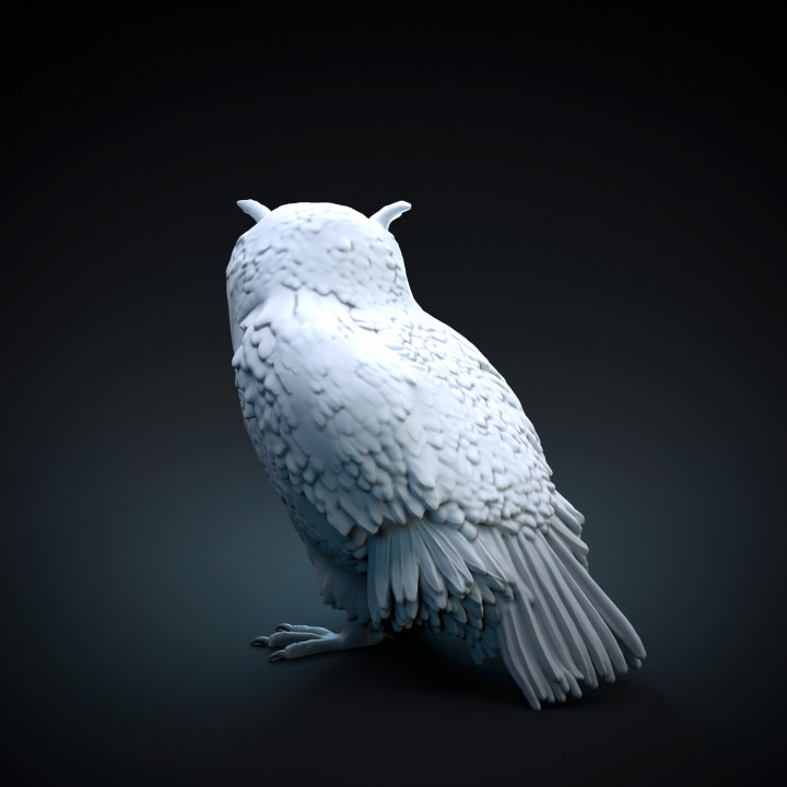 zijingyiran 3D Owl Embossed Shoulder Bag Creative Punk Female Bag Messenger Bag Original Animal Tassel Handbag 2021 New (Black) 並行輸入品 Articulating Owl Figurine - 3D Printed Home Decor, Realistic