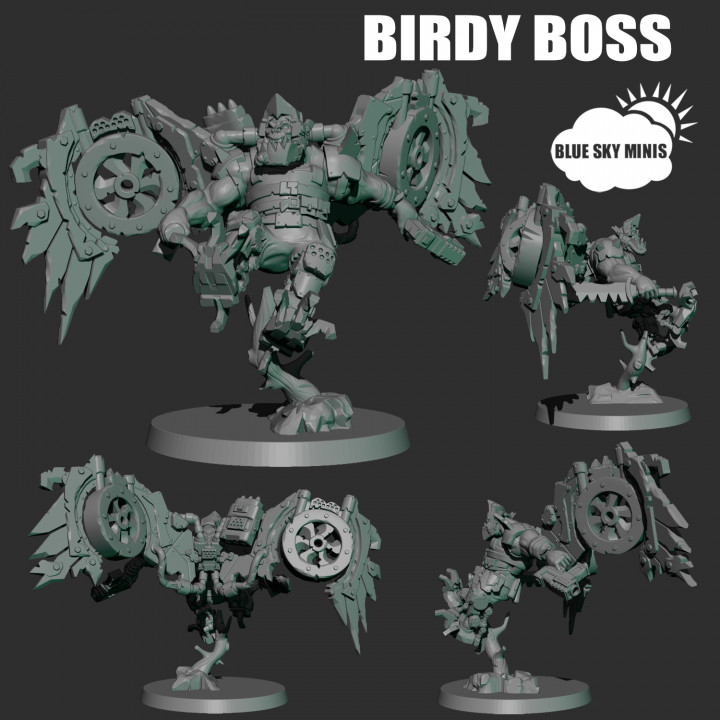Birdy Boss image