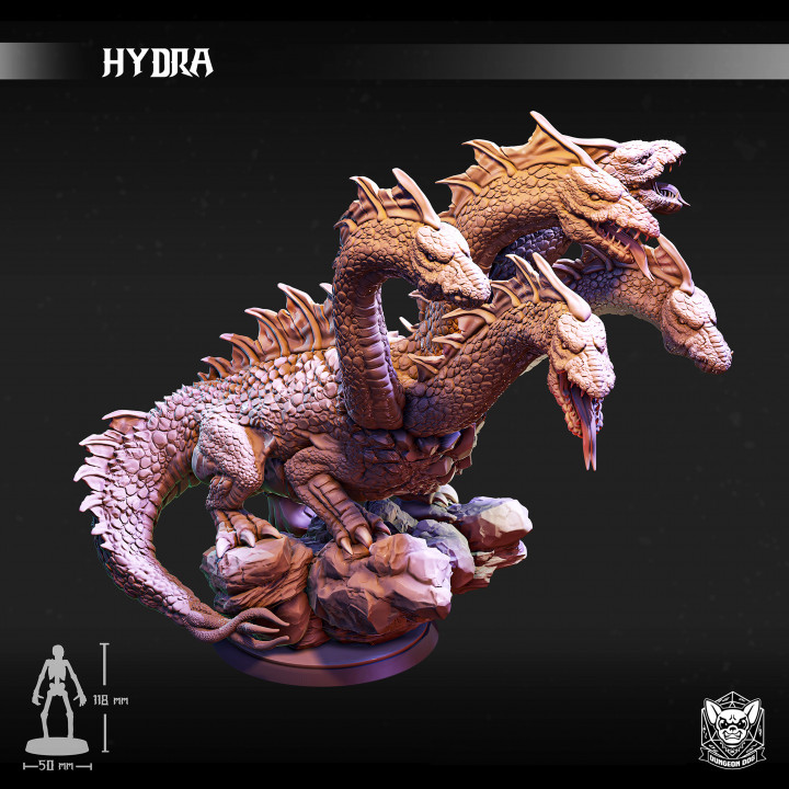 Hydra image