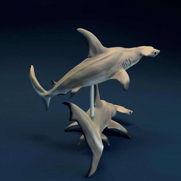 3D Printable Hammerhead Sharks by Animal Den Miniatures