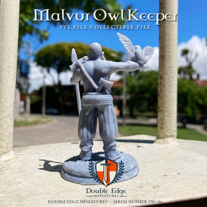 Malvur Owl Keeper - DW_06 image