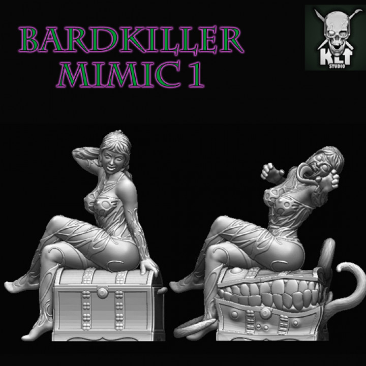 BardKiller Mimic 1 image