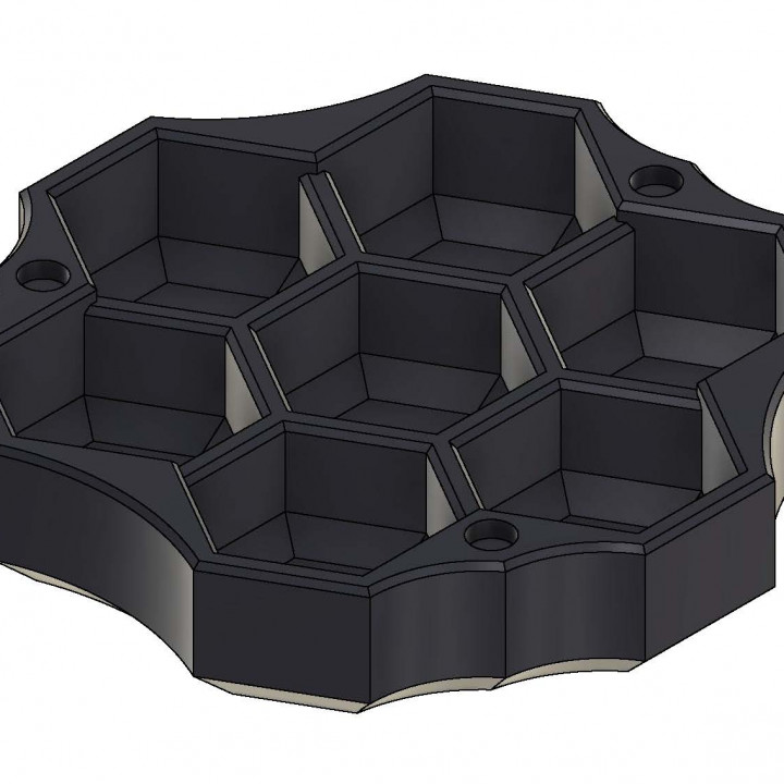 Polyhedral Dice Case / Tray image