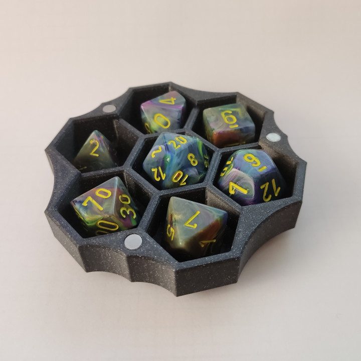 Polyhedral Dice Case / Tray image