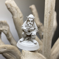 Picture of print of Fiends of the Undercity - Deep Gnome Gramps