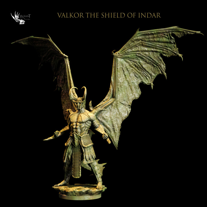 Valkor The Shield of Indar image
