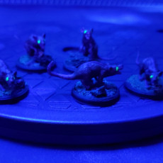 Picture of print of Tempest Hold Giant Rats