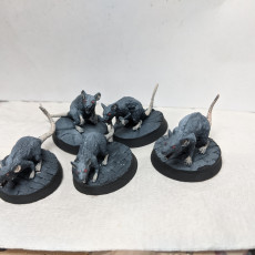 Picture of print of Tempest Hold Giant Rats