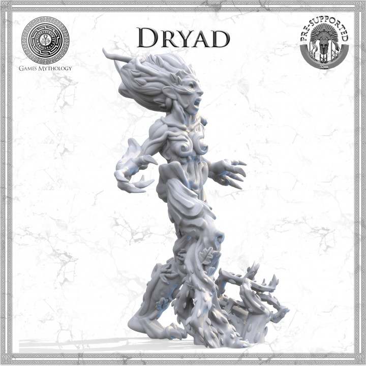 Druid Dryad image