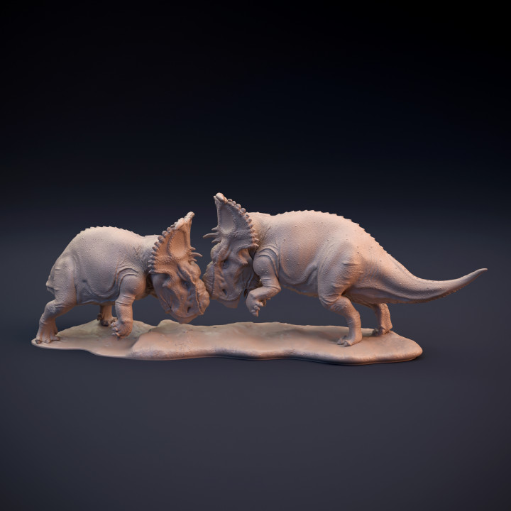 Pachyrhinosaurus fighting image