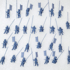 Picture of print of Ashigaru Spearmen Units