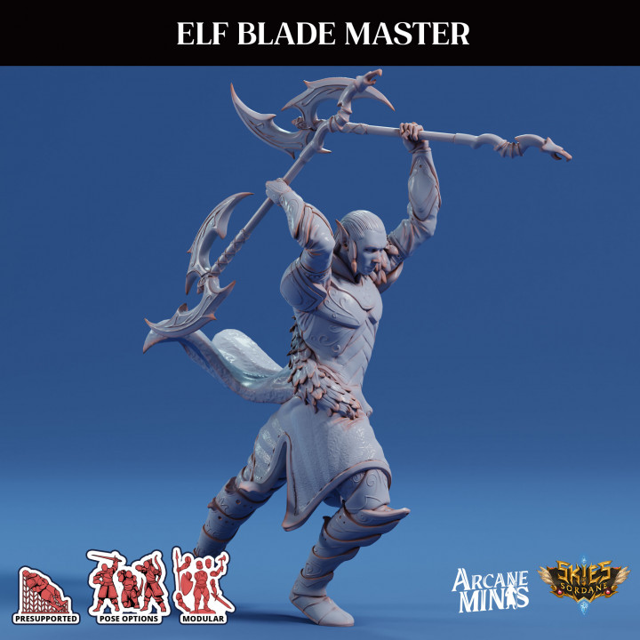 Elf Blade Master image