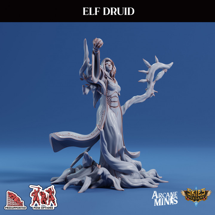 Elf Druid image