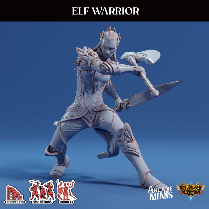 3D Printable Elf Warrior by Sordane Publishing 3D Printable Elf Warrior by Sordane Publishing