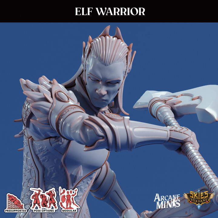 Elf Warrior image